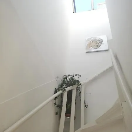 Right In The Middle Of The Cuypmarket, Close To Restaurants, Walking Distance Of Major Musea
